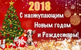 С Новым 2018 годом!