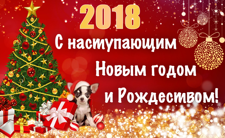 С Новым 2018 годом!