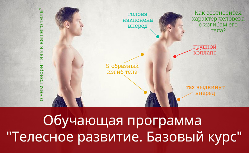Телесное развитие. Базовый курс. Бодинамика и тайны тела
